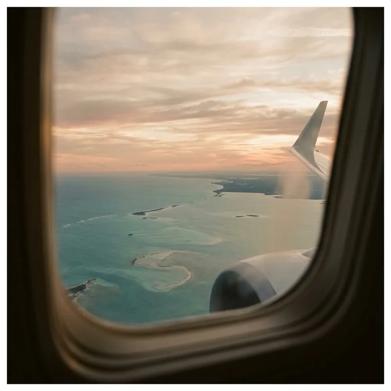 Flight