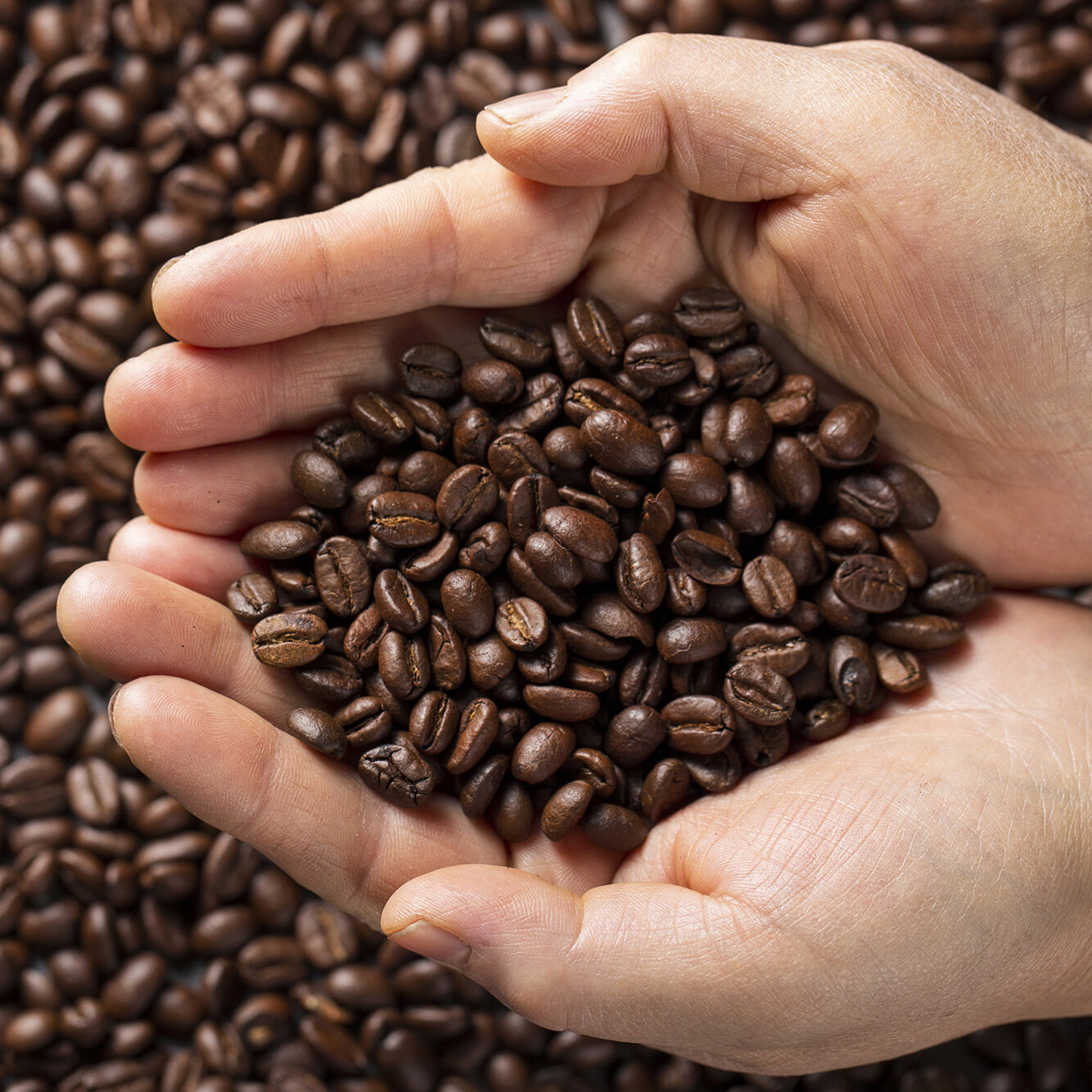 Coffee expertise and craftsmanship